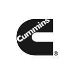 Cummins Block Heater Element 3975628